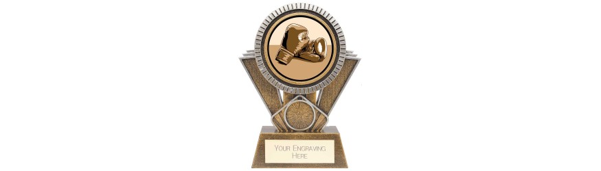 APEX BOXING RESIN TROPHY -3 SIZES - 13CM - 18CM